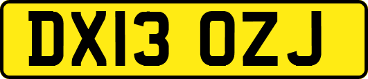 DX13OZJ