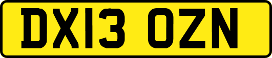 DX13OZN