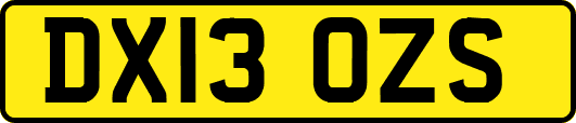 DX13OZS