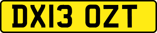 DX13OZT