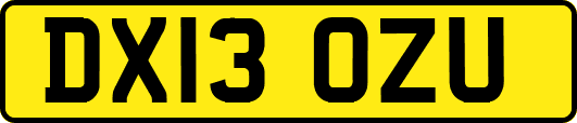 DX13OZU