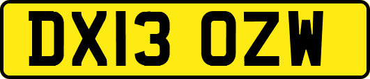 DX13OZW