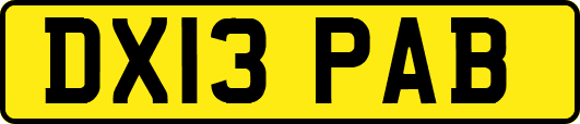 DX13PAB