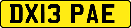 DX13PAE