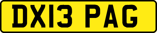 DX13PAG