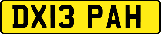 DX13PAH