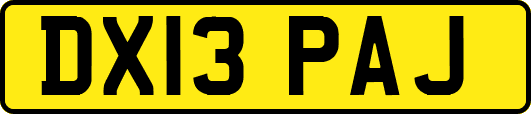 DX13PAJ