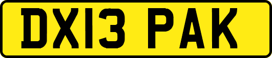 DX13PAK