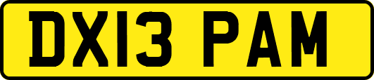 DX13PAM