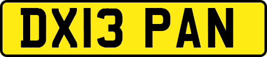 DX13PAN