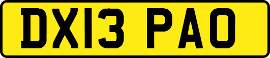 DX13PAO
