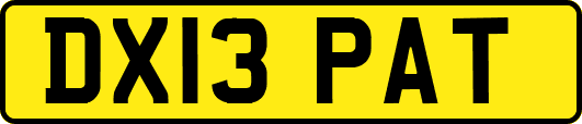 DX13PAT