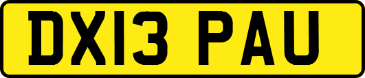 DX13PAU