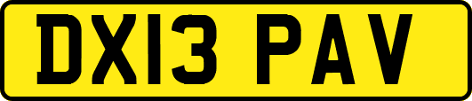 DX13PAV