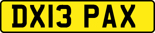 DX13PAX