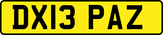 DX13PAZ