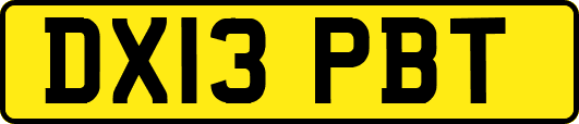 DX13PBT