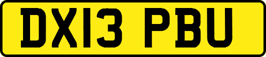 DX13PBU