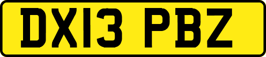 DX13PBZ