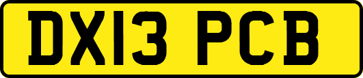 DX13PCB