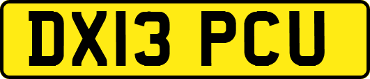DX13PCU