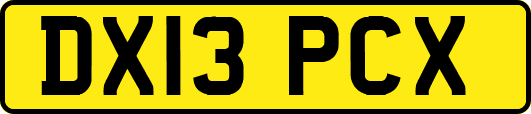 DX13PCX