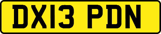 DX13PDN