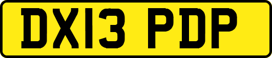 DX13PDP