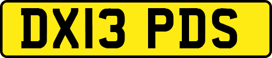 DX13PDS