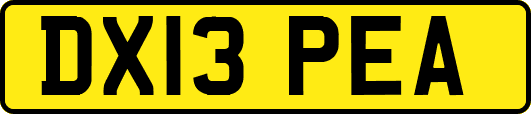 DX13PEA