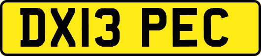 DX13PEC