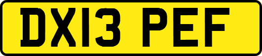 DX13PEF