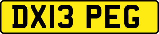 DX13PEG