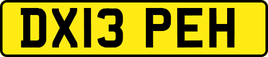 DX13PEH
