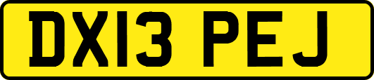 DX13PEJ