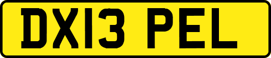 DX13PEL