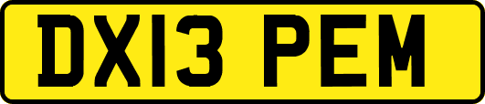 DX13PEM