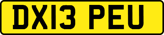 DX13PEU