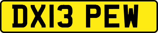 DX13PEW