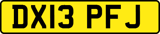 DX13PFJ