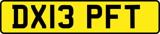 DX13PFT