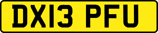 DX13PFU