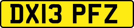 DX13PFZ