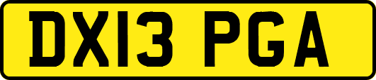 DX13PGA