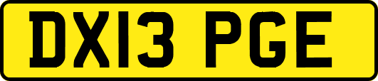 DX13PGE