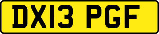 DX13PGF