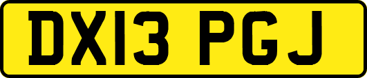 DX13PGJ