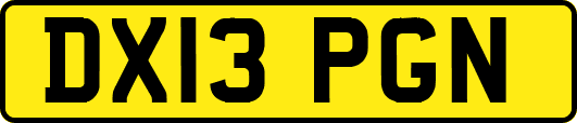 DX13PGN