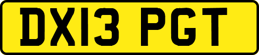 DX13PGT
