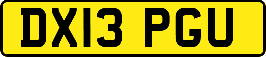DX13PGU